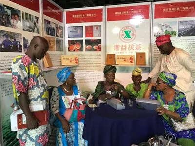 第四屆對非投資論壇開幕，湘益茯茶與非洲友人再續(xù)茶緣