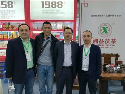 湘益茯茶6年耕耘，讓“金花”開遍巴蜀大地