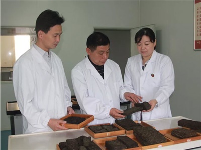 傳承茯茶非遺技藝、開拓創(chuàng)新引領行業(yè)發(fā)展